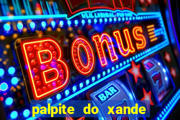 palpite do xande de hoje